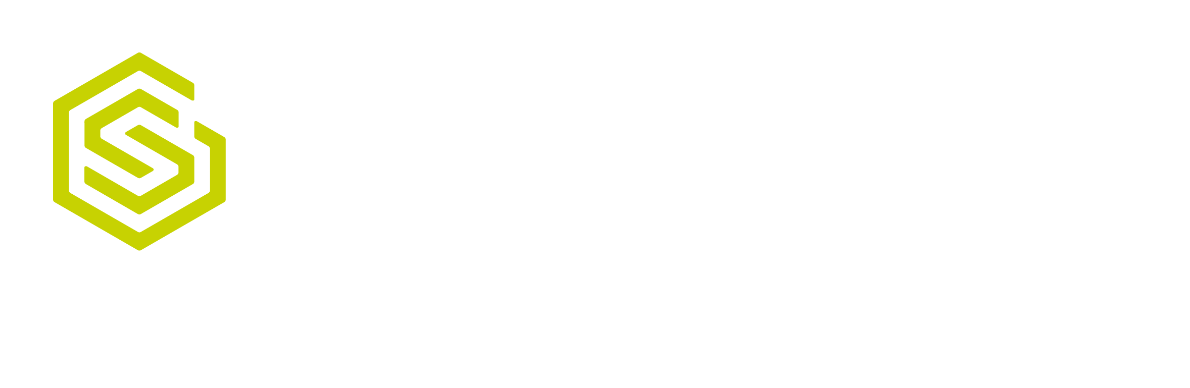 SSG Insight Logo